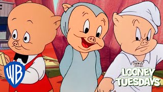 Looney Tuesdays | H-h-h-hello Porky! | Looney Tunes | WB Kids