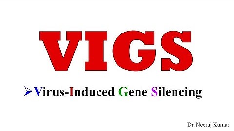 Virus Induced Gene Silencing (VIGS) technique | Genetic Engineering | Plant Biotechnology 