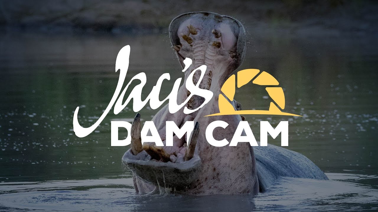Jaci’s Dam Cam