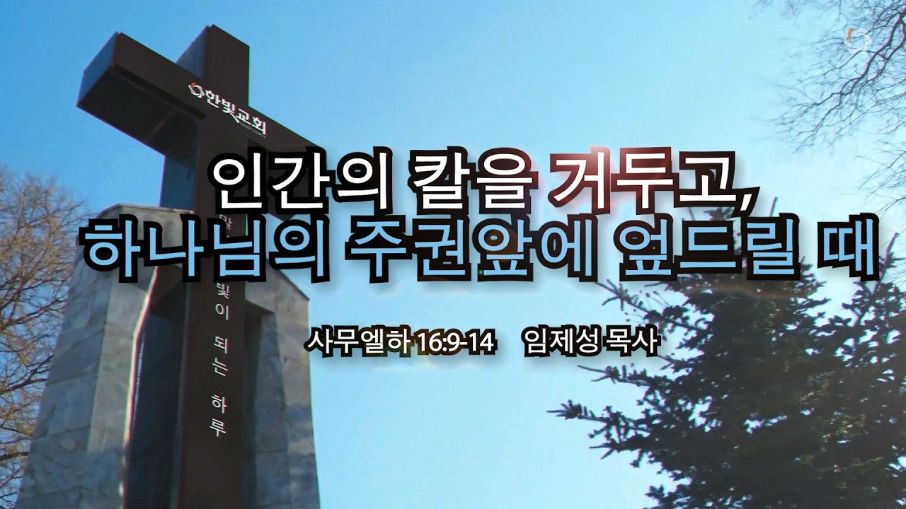 인간의 칼을 거두고, 하나님의 주권 앞에 엎드릴 때