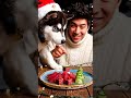 HUSKY PUPPY EATING RAW FESTIVE FOODS | Eating Sound #dogs #puppy #mukbang #shorts