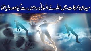 Allah Ne Insani Rooh Se Wada Kese Lya | Qisasul Anbya | Adam as aur Roohon ka Wada