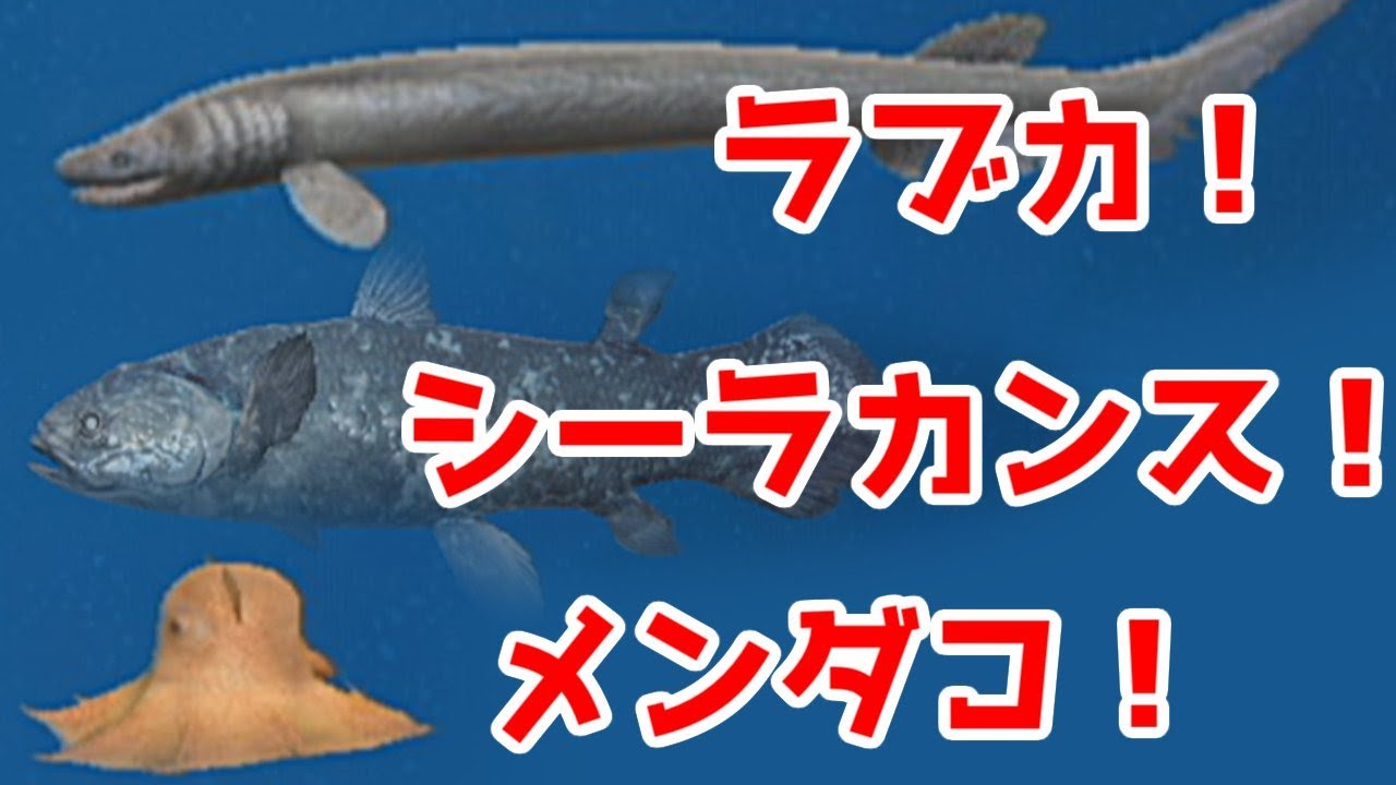 シーラカンス Live] Resort fishing trip to a southern island part 83 [Family