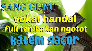 GURU VOKAL HANDAL KATEM GACOR