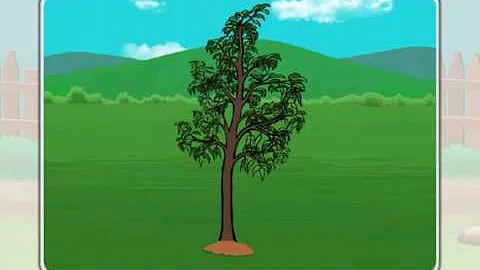 Why can't nonliving things die?