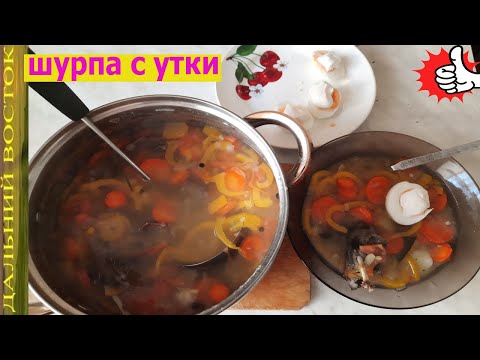 Шурпа с утки чирок в домашних условиях