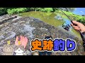 この針すご!400年前の史跡の中心で想定外な魚が釣れまくった!