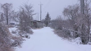 Snowy morning, Walk the Quiet &amp; Beautiful Korean Countryside  |  4K Relaxing snow walk, Ambience