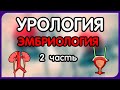 Урология. Лекция 4. Эмбриология половой (репродуктивной) системы.