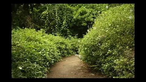 stopmotion, Inspiration Samantha Andersen.Josie Ge...
