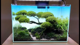 We check out a massive aquarium show: Vivarium & MACE 2023 Coverage