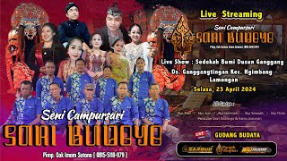 🔴 Live Streaming Langen Tayub SARI BUDOYO Sedekah Bumi Dsn. Ganggang 2024 ( Siang )