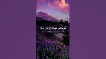 #قران_كريم #ارح_قلبك #تلاوة_خاشعة #اكسبلور #quran #حالات_واتس #لايك #راحة_نفسية