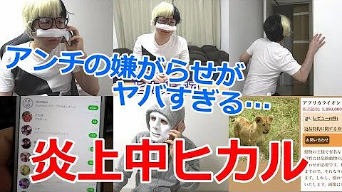 تحميل コーラン ヒカル Mp4 Mp3