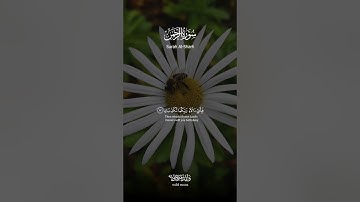 سورة الرحمن آيات تلامس القلوب وتبعث السكينة | Surah Ar-Rahman Heart-touching Verses and Tranquil V