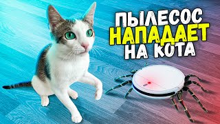 100 часов с котом «Немишкой» из прошлого выпуска. Робот-пылесос нападает на «Немишку» / SANI vlog by SANISHOW 5,142,771 views 1 year ago 47 minutes