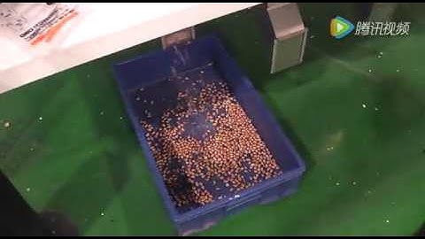 peanut color sorter / peanut sorting machine - (www.ColorSorterGroup.com)