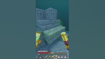 Dolphin Jumpscare - Minecraft 1.17 But Raytracing - #Shorts #MinecraftShorts #Minecraft