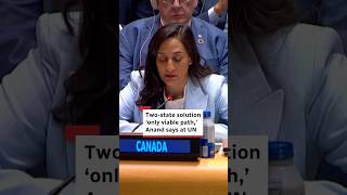 Two-state solution ‘only viable path,’ Anand says at UN