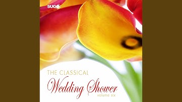 String Quartet in F Major, Op. 3 No. 5: II. Andante cantabile (Serenade)