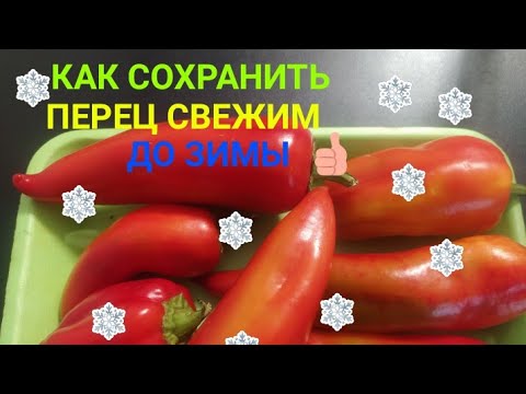 🌶️КАК СОХРАНИТЬ ПЕРЕЦ СВЕЖИМ ДО ЗИМЫ❄️В ДОМАШНИХ УСЛОВИЯХ