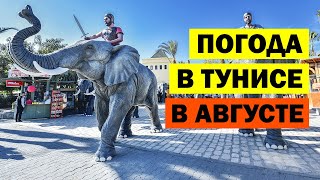 Погода в Тунисе в августе. Температура воды в море в Тунисе