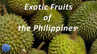 10 Exotic tropical fruits