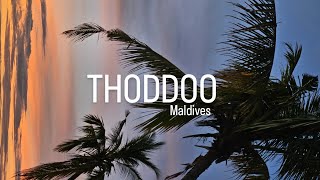 THODDOO MALDIVES'24 | Тодду, Мальдивы, январь 2024г. | часть 1