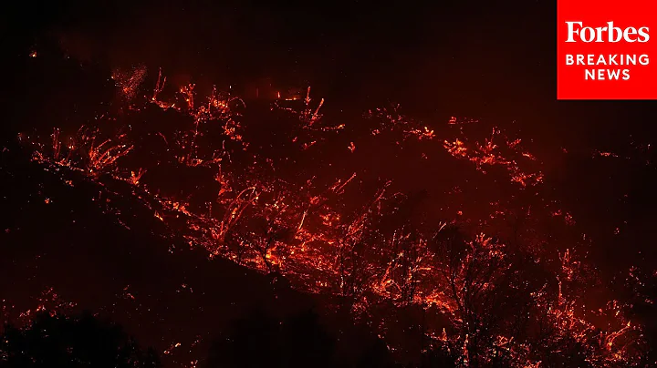 Top Los Angeles Police Department Official Details The Arrest Of Kenneth Fire Arson Suspect