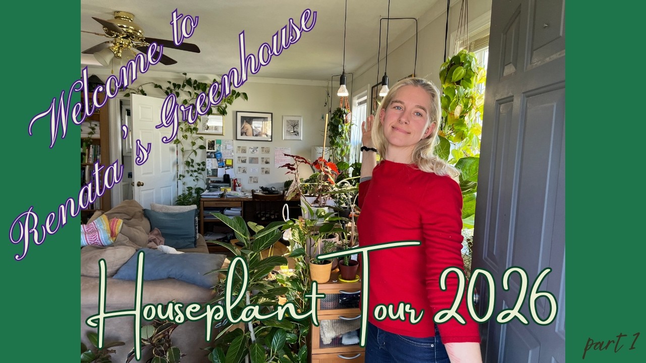2026 Houseplant Tour | part 1