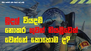 මුදල් වියදම් නොකර ගුවන් නියමුවෙක් වෙන්නේ කොහොමද? | BY AEROGURU  #AviationChannel #Pilotdream