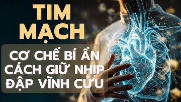 Giải Mã Nhịp Tim: Cơ Chế Bí Ẩn & Cách Giữ Nhịp Đập Vĩnh Cửu