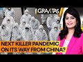 Gravitas mysterious pneumonia outbreak in china is the next killer pandemic on its way  wion