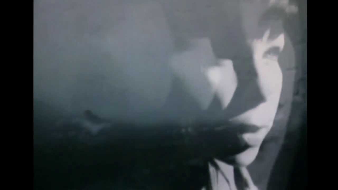 Take Berlin - The Fog (Cover)