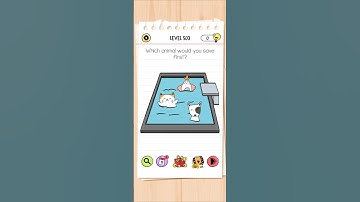 Brain Test All-Star: IQ Boost Level 503 🎯