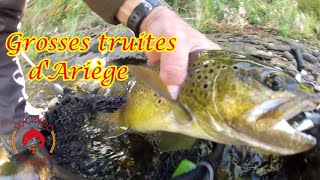 Grosses truites d'Ariège, record 2024 possible en nymphe au toc !!