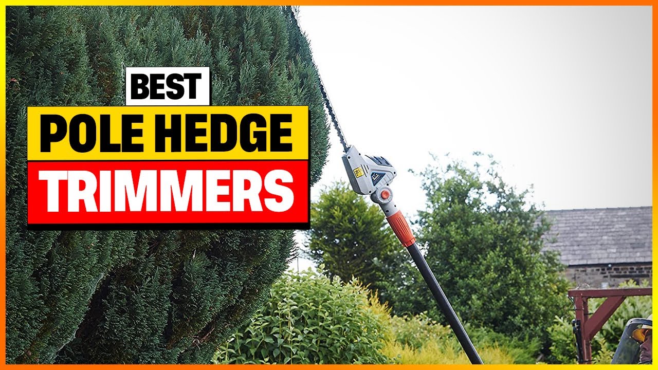 Top 7 Pole Hedge Trimmers That Will DOMINATE Your Yard Work in 2026 ...