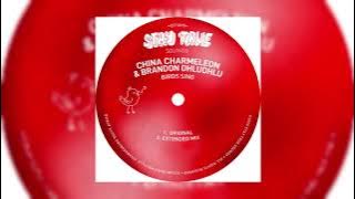 China Charmeleon, Brandon Dhludhlu - Birds Sing