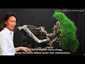 Hiroaki Suzuki Bonsai demo - BonsaiKunst