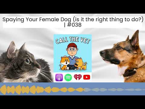 Spaying Your Female Dog (is it the right thing to do?) | #038