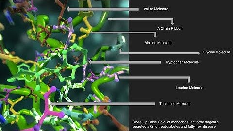 Backbone and Ribbon Tools || The Proteins Toolkit || Houdini Tutorial