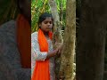 save trees and  save nature