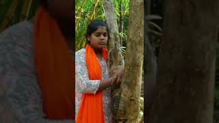 save trees and save nature