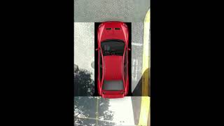 Simple Bird's Eye View Transformation