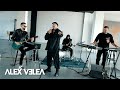 Alex velea  monali  live session