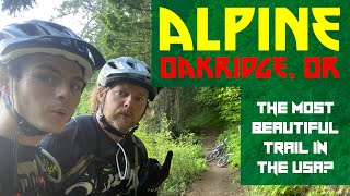 CHASING TRAIL! Epic Beauty on 'ALPINE' in Oakridge, Oregon! #mtbpov #alpinetrail by Punk Uncle Show 252 views 2 years ago 15 minutes