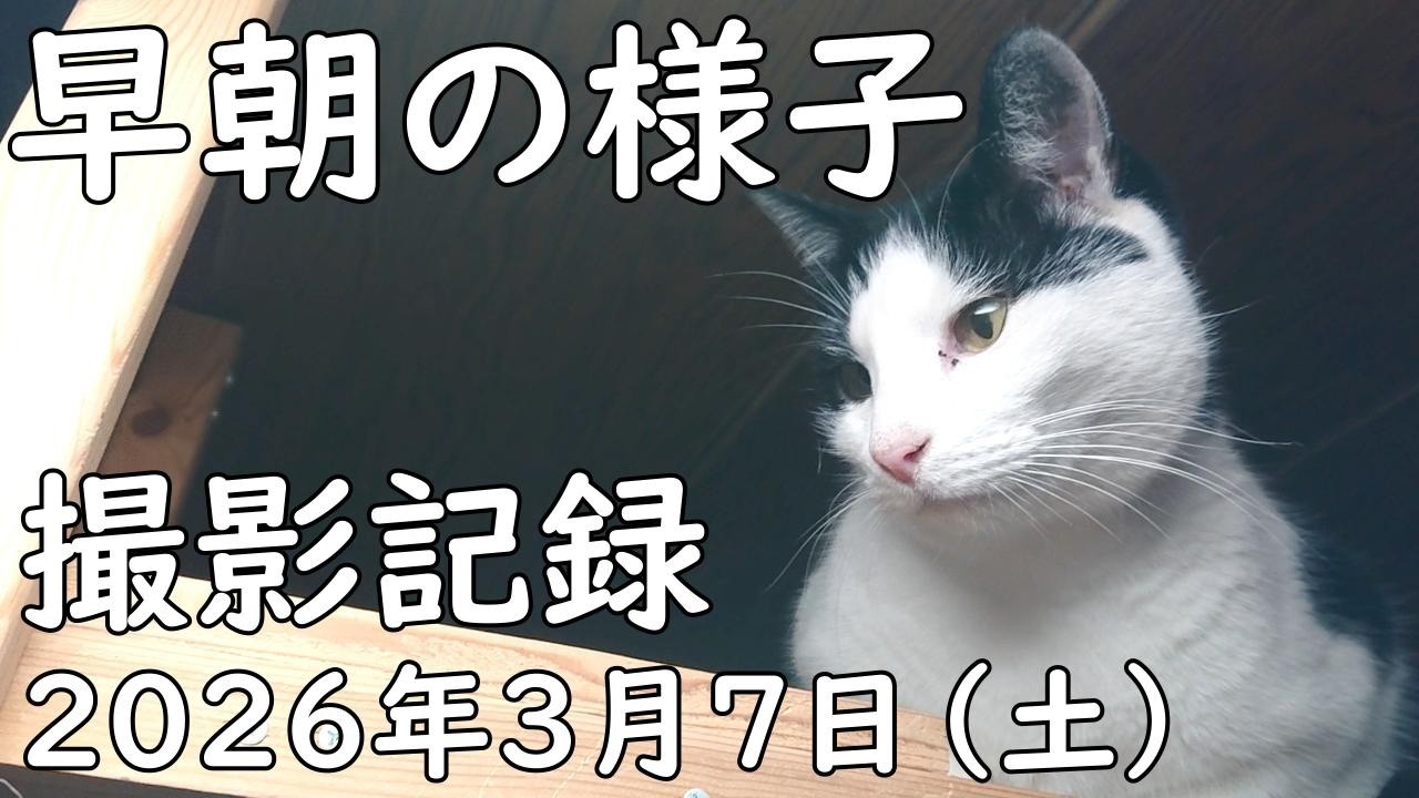 2026年3月7日（土）早朝の撮影記録。