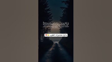 تلاوة تخشع له الابدان 😥💔@علي_الدليمي-95 #اكسبلور #راحة_نفسية #القارىء #حالات_واتس