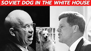 PUSHINKA: present of Khruschev, favorite of Kennedy by DogCastTv 68 views 4 months ago 6 minutes, 12 seconds