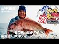 春の乗っ込みタイラバ 新潟直江津沖ディープで答えを出す一手とは？ / 田中亜衣